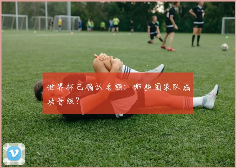 世界杯已确认名额:哪些国家队成功晋级?