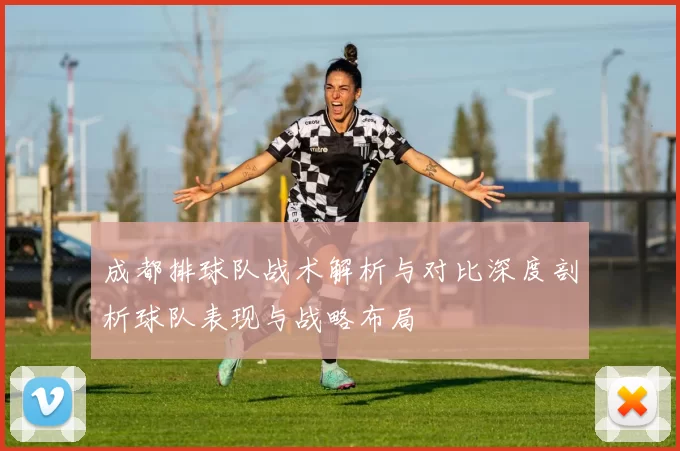 成都排球队战术解析与对比深度剖析球队表现与战略布局