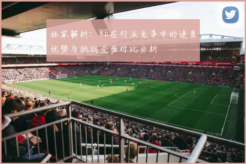 独家解析:WE在行业竞争中的速度优势与挑战全面对比分析