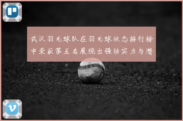 武汉羽毛球队在羽毛球状态排行榜中荣获第五名展现出强劲实力与潜力