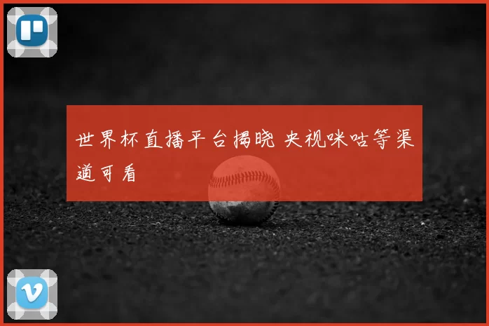 世界杯直播平台揭晓 央视咪咕等渠道可看
