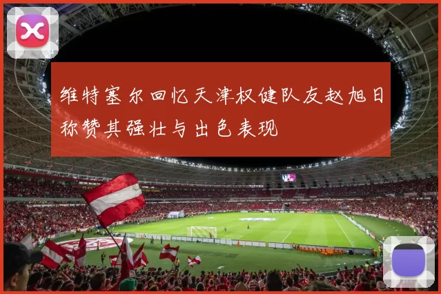 维特塞尔回忆天津权健队友赵旭日称赞其强壮与出色表现