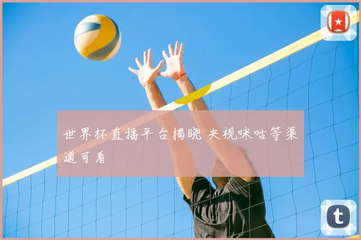 世界杯直播平台揭晓 央视咪咕等渠道可看