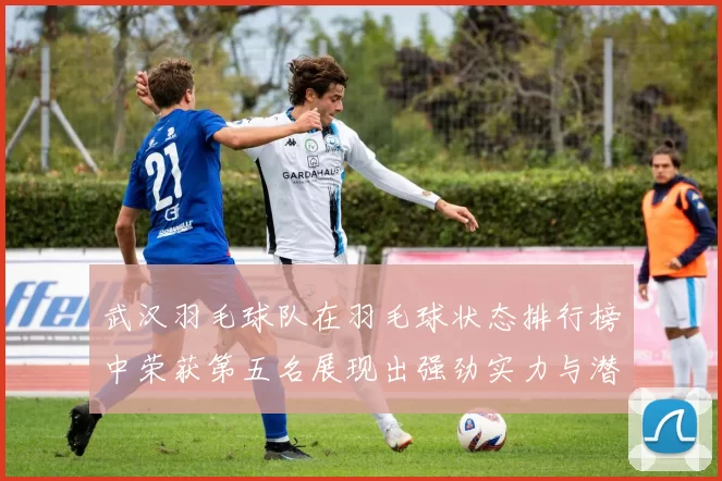 武汉羽毛球队在羽毛球状态排行榜中荣获第五名展现出强劲实力与潜力