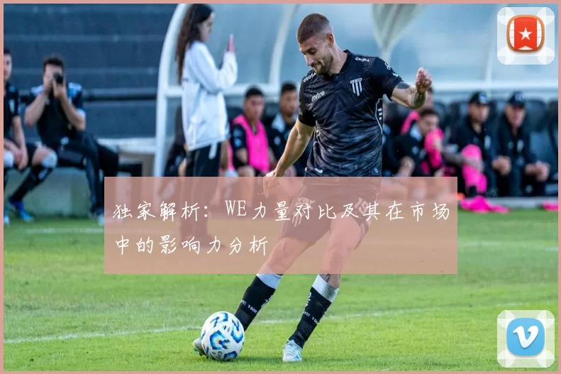独家解析：WE力量对比及其在市场中的影响力分析