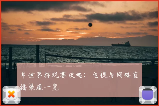 年世界杯观赛攻略：电视与网络直播渠道一览