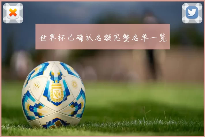 世界杯已确认名额完整名单一览