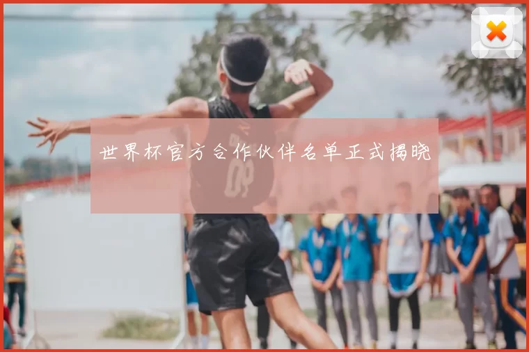 世界杯官方合作伙伴名单正式揭晓