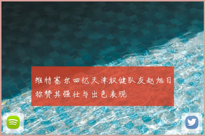 维特塞尔回忆天津权健队友赵旭日称赞其强壮与出色表现