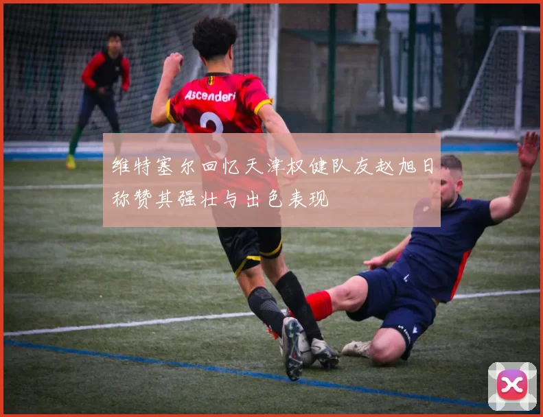 维特塞尔回忆天津权健队友赵旭日称赞其强壮与出色表现