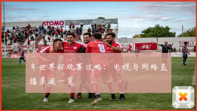 年世界杯观赛攻略:电视与网络直播渠道一览
