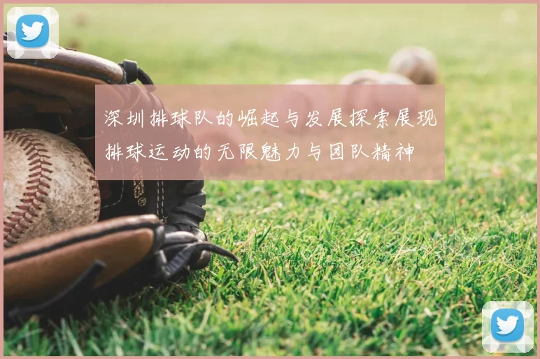 深圳排球队的崛起与发展探索展现排球运动的无限魅力与团队精神