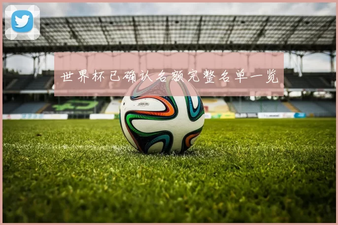 世界杯已确认名额完整名单一览